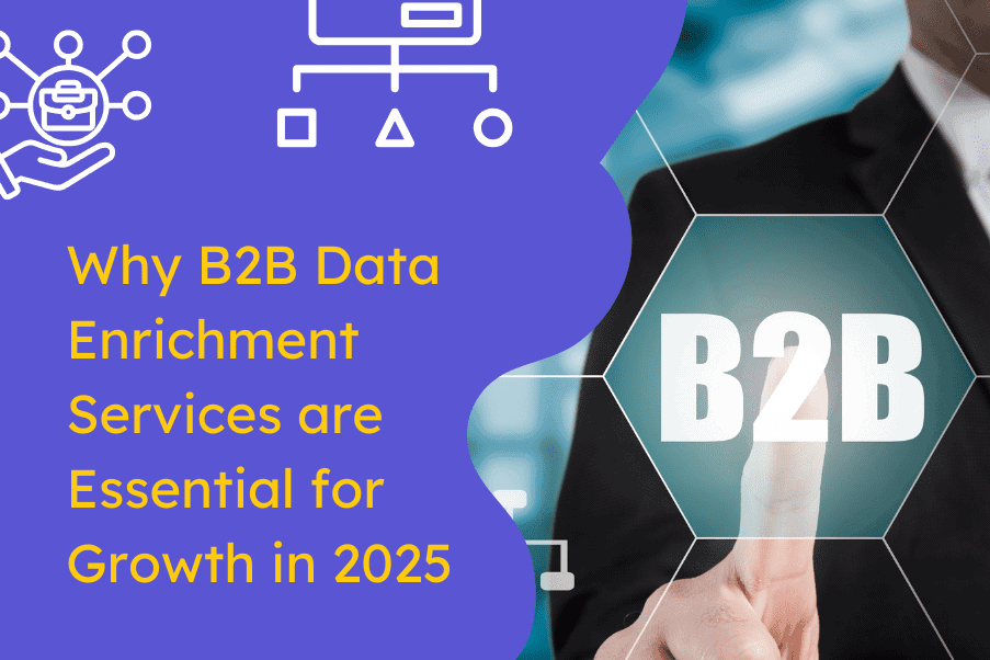 Why B2B data enrichment services are essential for growth in 2025