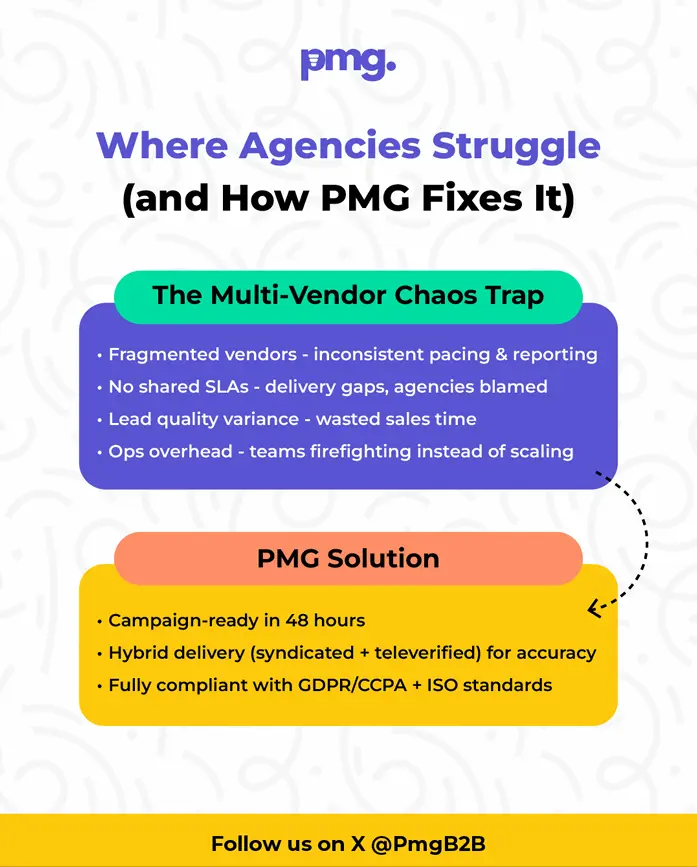 Where Agencies Struggle (and How PMG Fixes It)