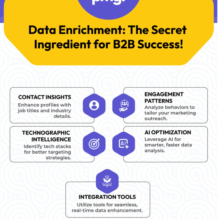 Data enrichment the secret ingredient for B2B success1